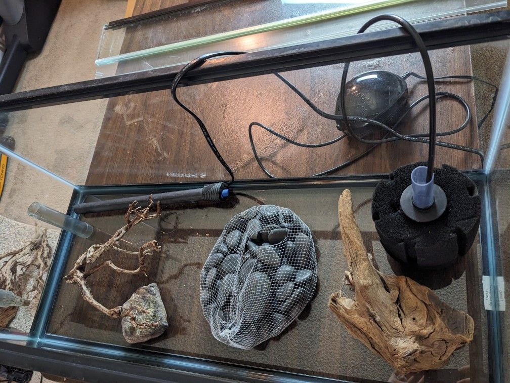 Fresh Water Aquarium Set Up
