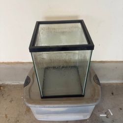 Tall Fish Tank  10gallon