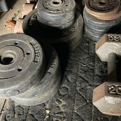 Weight
