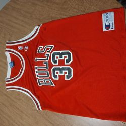 Pippen Jersey