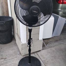 Fan