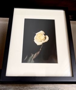 Framed  Beautiful Photography By a German Photographer” LIFE in DESERT”