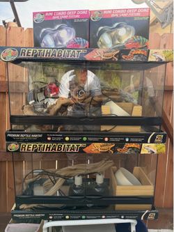 Reptile enclosure 36 x 18 x 12