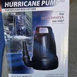 Pond or fountain pump