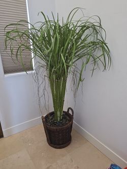 Artificial plant