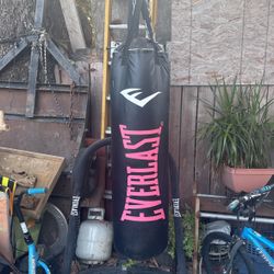 Boxing Punching Bag