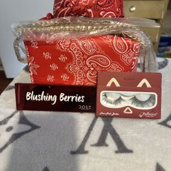 Red Bandana Purse Set 