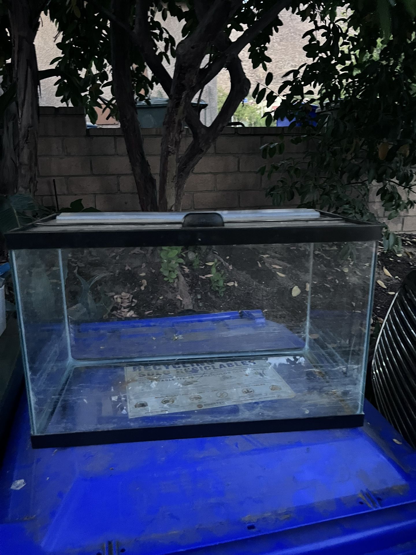 10 Gallon Tank with Lid (Fish/reptile)