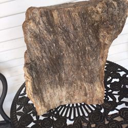 Petrified wood 16 Inches Tall 10 Inches Wide   You Can See The Bark Of The Tree