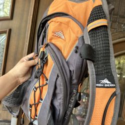 High Sierra Backpack 