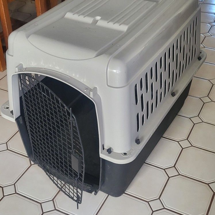 Dog Kennel