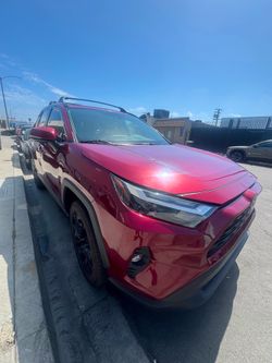 2025 Toyota Rav4 XLE Premium FWD