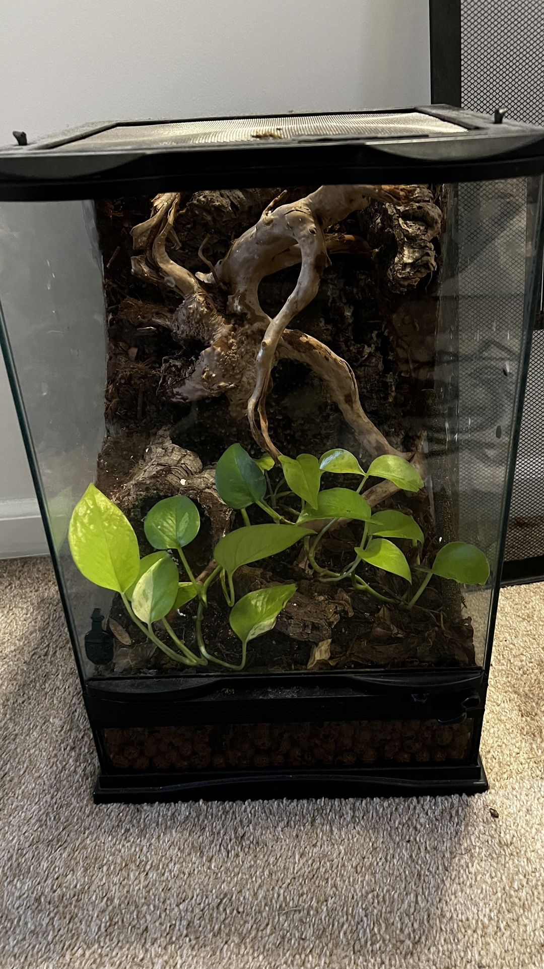 18x12 Gecko Tank