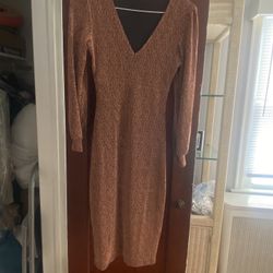 Stretchy Rose Gold Dress
