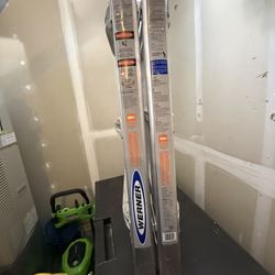 Werner Multi Ladder