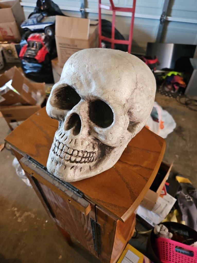 Styrofoam Skull
