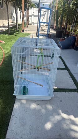 bird cage