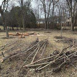 Free wood, free firewood