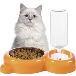 pet food bowl