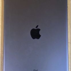 Apple iPad 9th Generation - 256 GB- Cellular + WiFi Unlocked