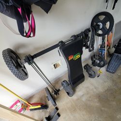 Frog Exercise Machine 