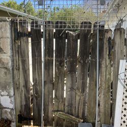 Plant Vine Metal Pipe 