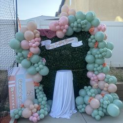 Chapter Theme Back Drop Balloon Garland 