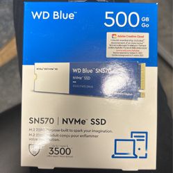 500GB NVMe SSD 