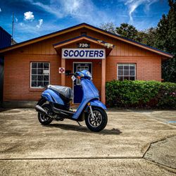 AEOLOUS ZEPHYR 49cc (WILD HOGS WINTER GARDEN)