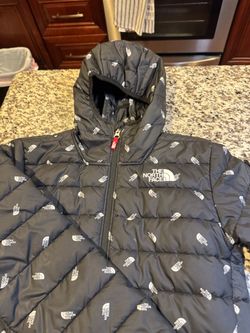 The North Face Puffer Jacket with Hood
