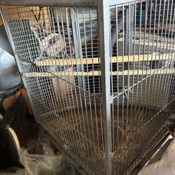 Corner Bird Cage