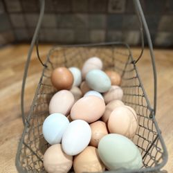 Hatching Eggs 