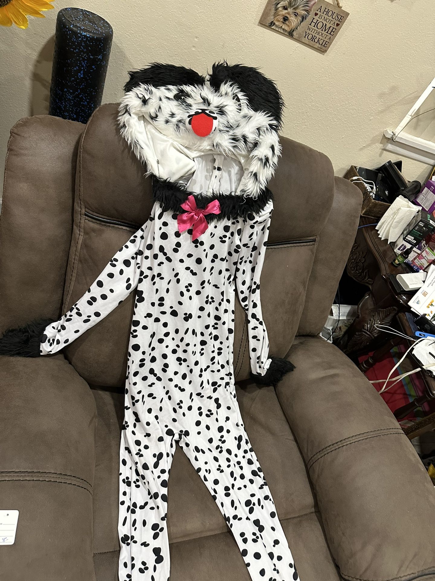 doggie costume very cute