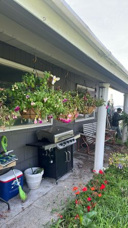 Flower Baskets, $10 Each