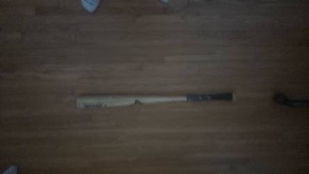 Bat