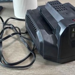 Ego Power+ 56v Battery charger