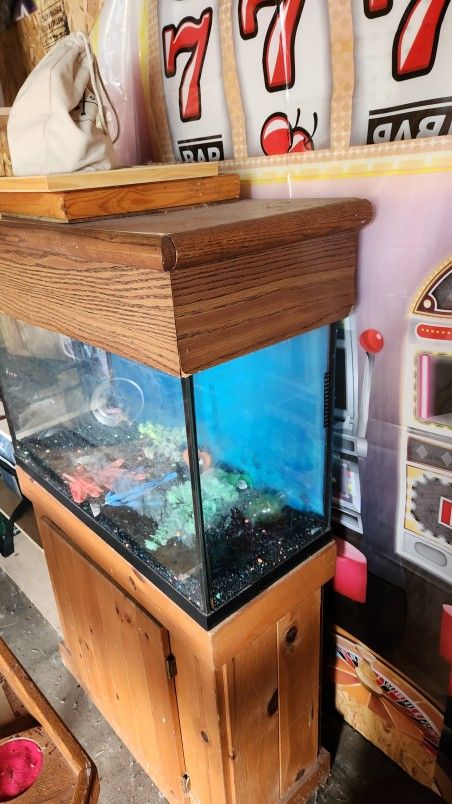 Fish Tanks FREE