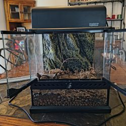 Exo Terra 12" Cube Terrarium – Complete Professional Starter Kit