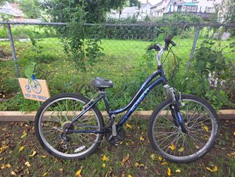 Schwinn low frame