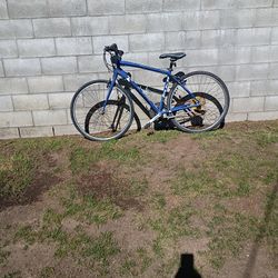 Adult Bike /Bicicleta Para Adultos