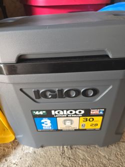 Igloo 30 qt cooler
