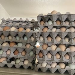 Fresh Farm Eggs 