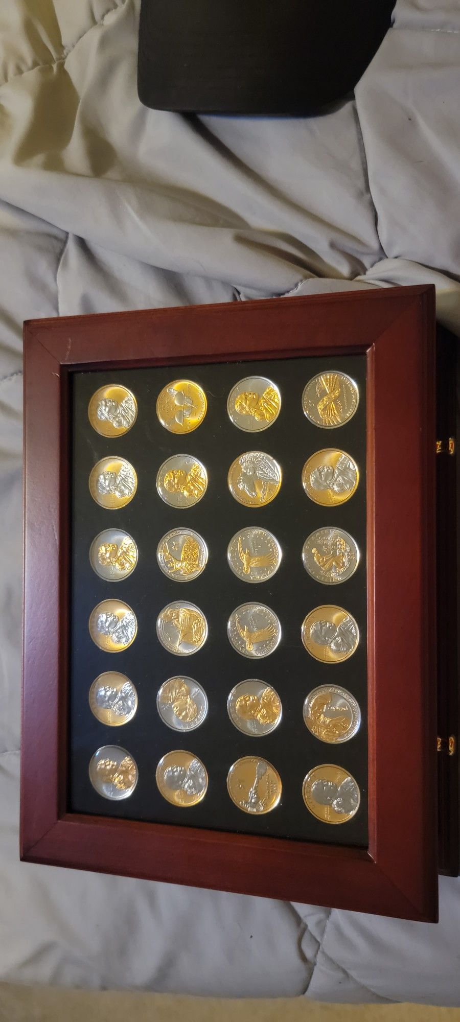 Gold And Platinum Dollar Coin sets