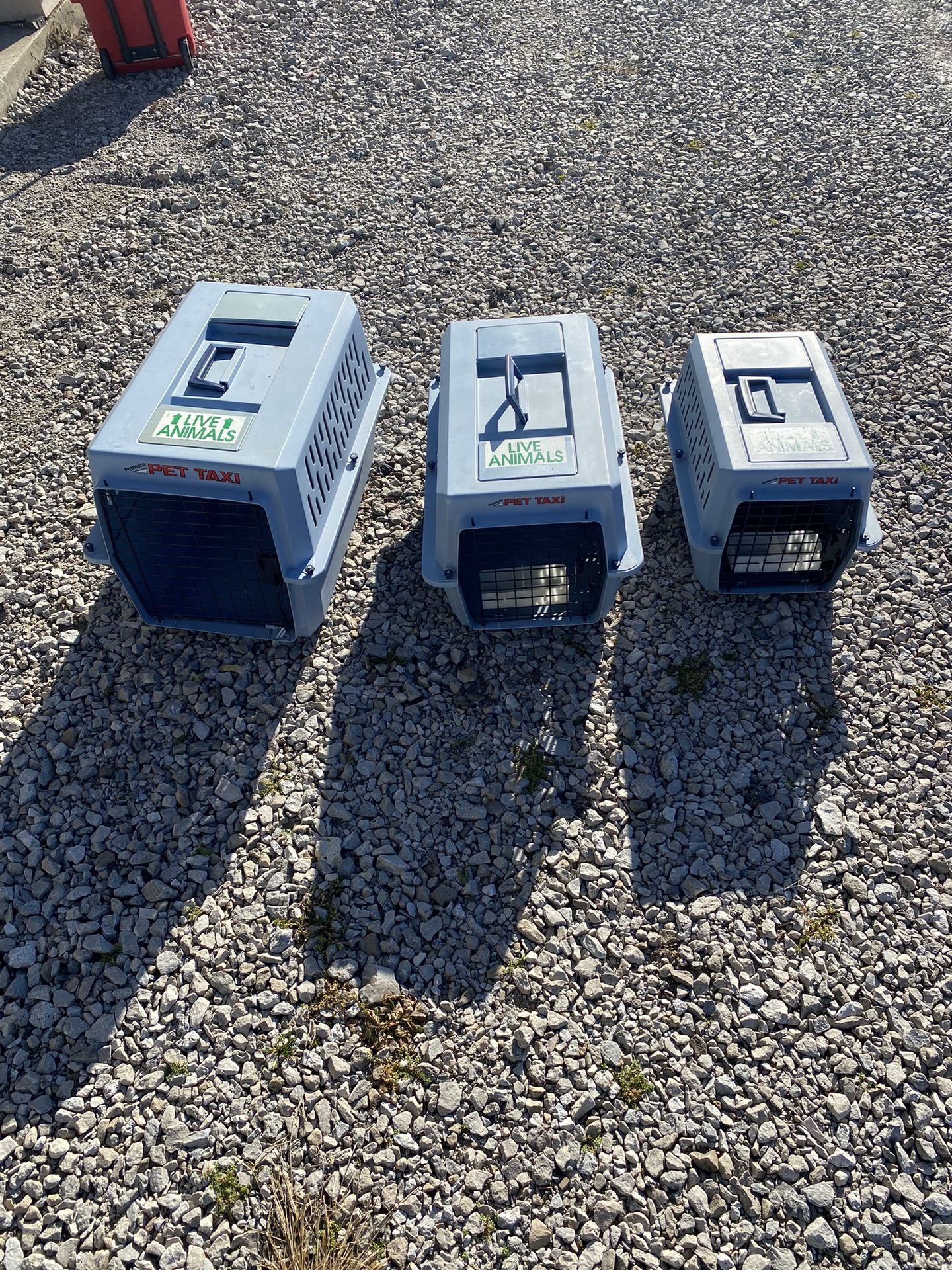 Three Different Size Dog Crates