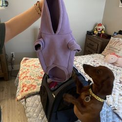 Dog Sweater 