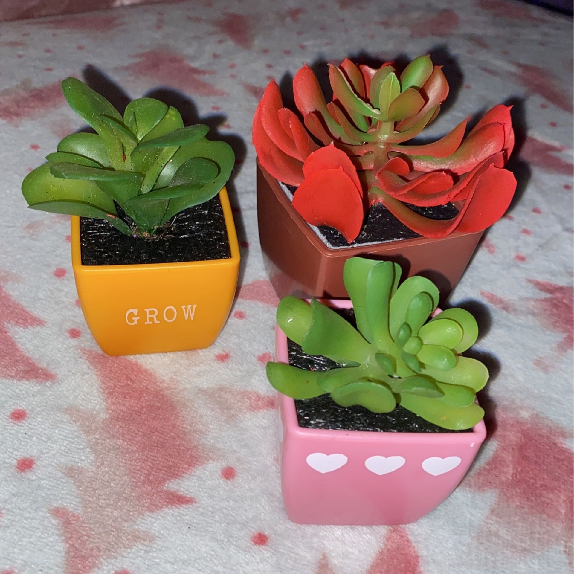Random Size And Color Succulents 