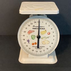 OLD VINTAGE “METAL “AMERICA FAMILY SCALE” FROM THE 60’s KITCHEN DECOR 