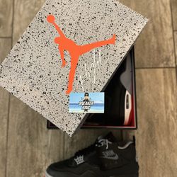 Jordan 4 Bred Reimagine