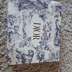 Christian Dior Loggo Saddle Bag 