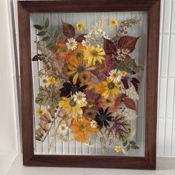 Wall Art Framed Pressed Flowers